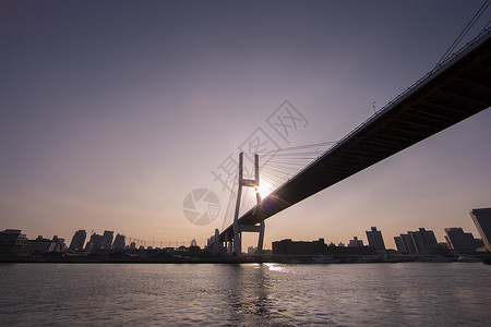 黄浦江上的南浦大桥图片