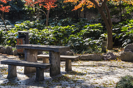 桂林公园石椅高清图片