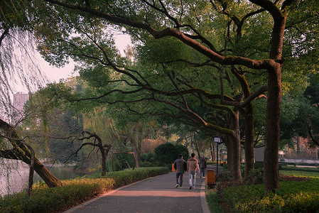 公园一景道路夕阳景高清图片