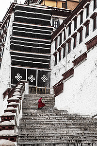 藏族僧人布达拉宫下的僧人背影背景