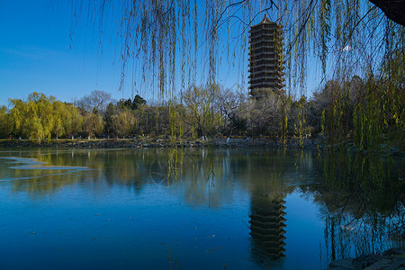 北京大学logo初冬的北大未名湖湖畔背景