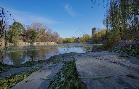 湖畔大学初冬的北大未名湖湖畔背景