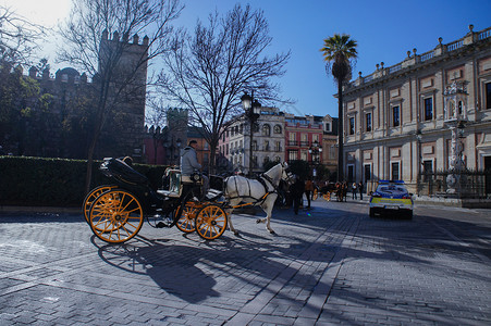 冬天西班牙塞维利亚的景区图片