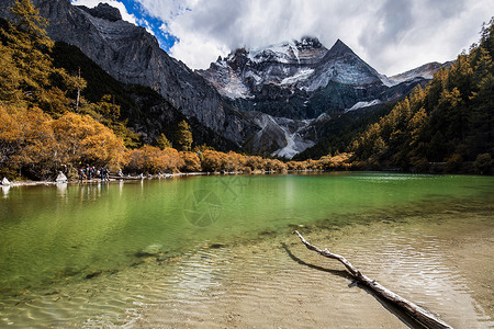 稻城秋天川西亚丁珍珠海背景