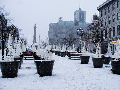 加拿大广场一号国外雪后装饰背景