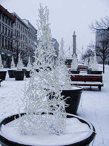 白雪茫茫国外雪后装饰背景