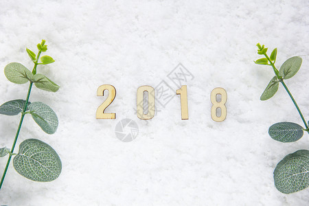 2018静物背景图设计图片