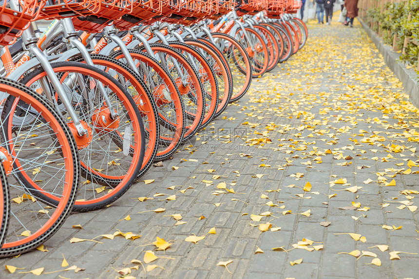 共享单车与银杏落叶图片
