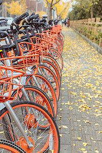 共享单车与银杏落叶背景图片