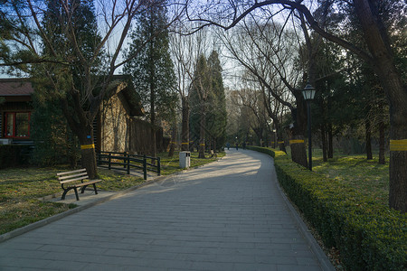 冬天北京某公园的景色背景图片