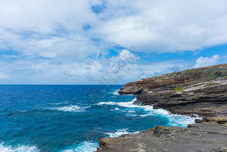 蓝色恐龙夏威夷礁石背景
