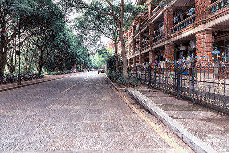 青葱岁月毛笔字大学校园背景