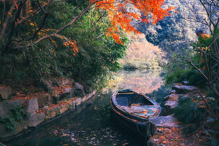 叶子船唯美的九溪烟树背景