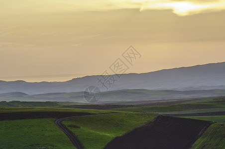 新疆塔城牧场草场风光图片