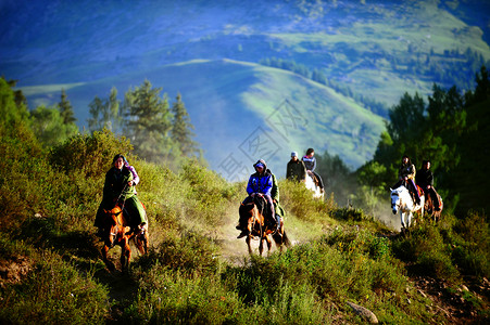 新疆阿勒泰禾木骑马背景图片