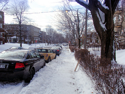 雪压枯枝加拿大蒙特利尔雪后的大街背景