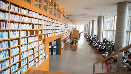 图书馆内部环境图片