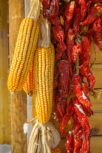 悬挂玉米挂着的玉米和辣椒背景