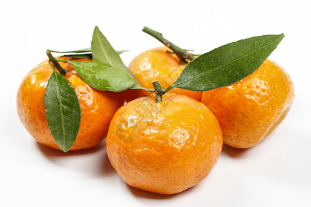 小橘子桔子南丰桔高清图片