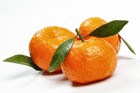 小橘子背景图片