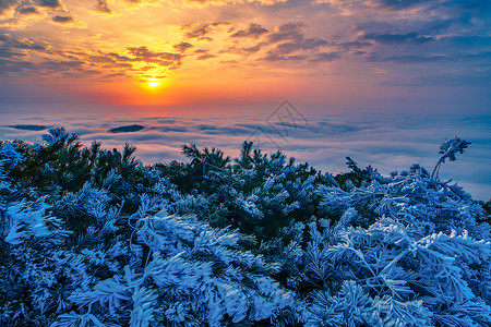 括苍山的日出与雾凇背景图片