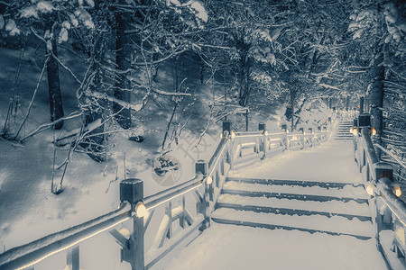桥阶梯夜晚森林雪景背景