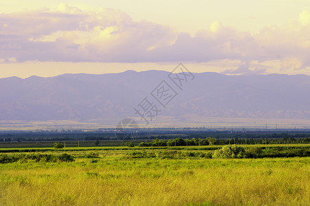 克伦尼弗鲁斯新疆塔城库鲁斯他原始大草原背景