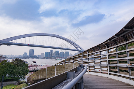 上海南浦大桥与世博公园背景图片
