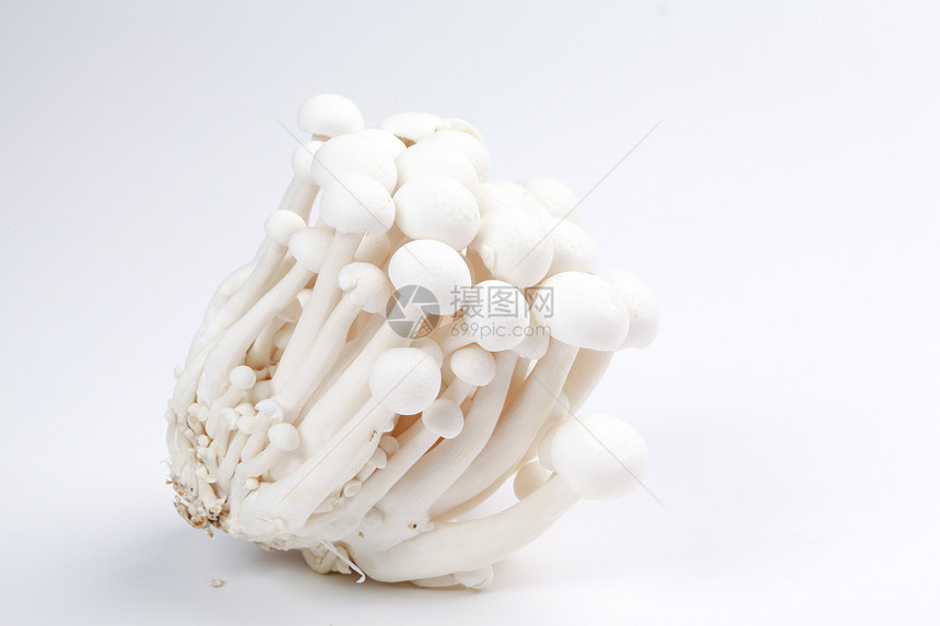 白色蘑菇在桌面上图片