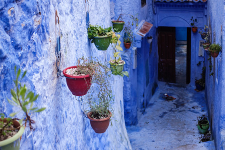北非花园摩洛哥摩洛哥舍夫沙万蓝色小镇背景