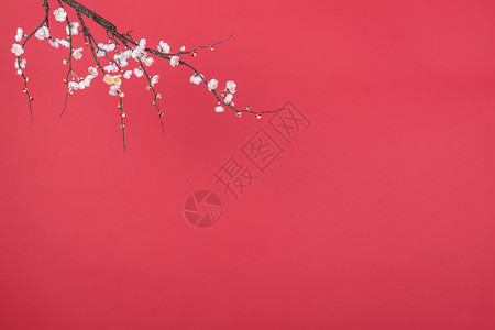 新春桃花红色背景图片