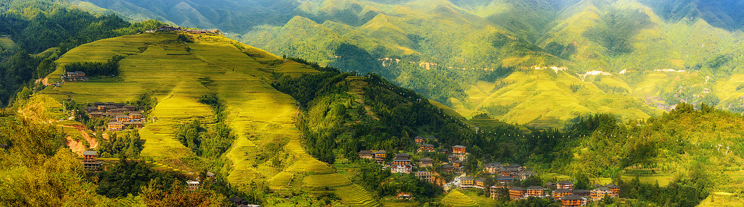 丰收意境素材秋天梯田全景风光背景