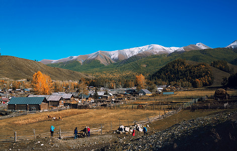 安静村落新疆禾木背景