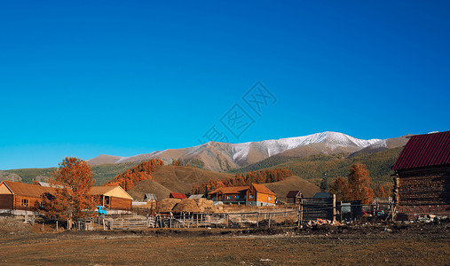 安静村落新疆禾木民居背景