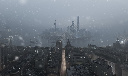 雪中上海图片