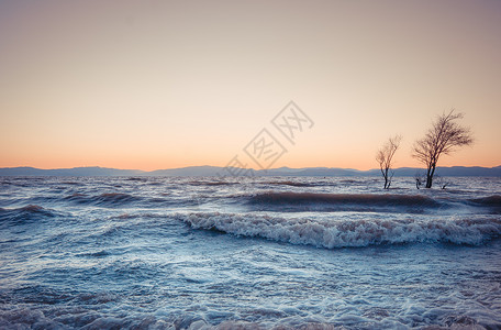 大海有树素材夕阳海浪背景