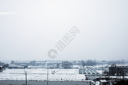 大雪后的雪景背景图片