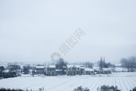 简约黑白雪景大雪后的雪景背景