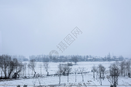 大雪后的雪景背景图片