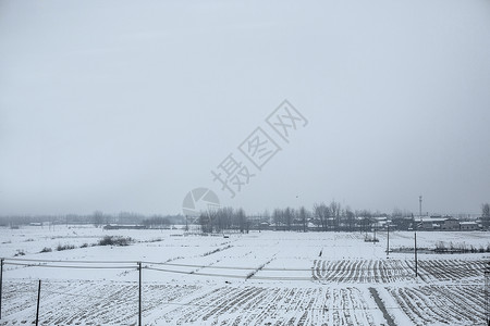 大雪后的雪景背景图片