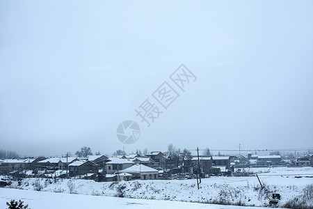 大雪后的雪景图片