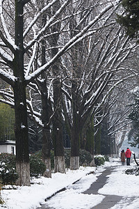 大雪后的道路图片