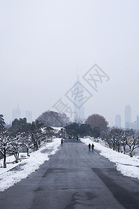 大雪后的城市图片