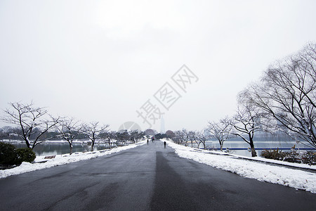 大雪后的雪景图片