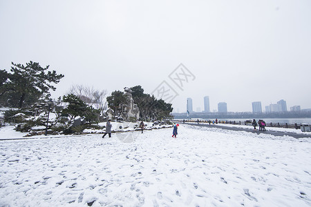 大雪后的雪景图片