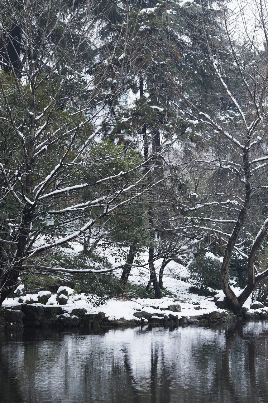 下雪后的风景图片