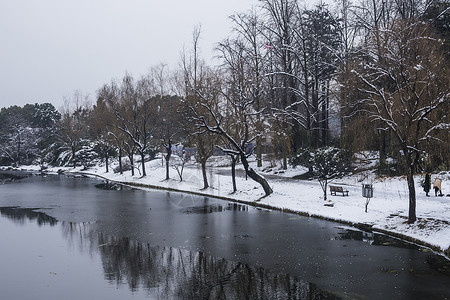 下雪后的湖泊古建筑背景图片