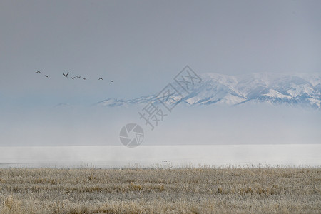 新疆背景图片