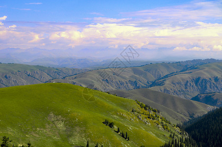 蓝天绿草壁纸新疆独库公路天山山脉美景背景