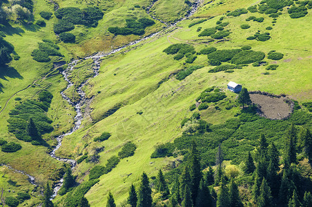 绿草森林新疆独库公路天山草场奇景背景